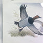 Art & Collectibles > Prints > Lithographs - Richard Sloan, Canvasback, Signed Print, 28x22, Wade Collection, Plate 38 by T...