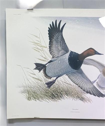 Art & Collectibles > Prints > Lithographs - Richard Sloan, Canvasback, Signed Print, 28x22, Wade Collection, Plate 38 by T...