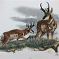Art & Collectibles > Prints > Lithographs - Richard Timm, Pronghorn, Signed Print, 28x22 Wade Collection, Plate 13 by The...
