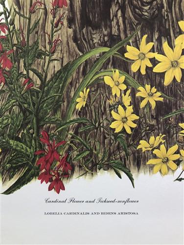 Art & Collectibles > Prints > Lithographs - Maryrose Wampler, Cardinal Flower Sunflower Signed Print 28x22 Wall Art Plate...