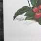 Art & Collectibles > Prints > Lithographs - Maryrose Wampler, Spring Bulbs, Signed Print, 28x22 Wall Art, Plate 26 by The...