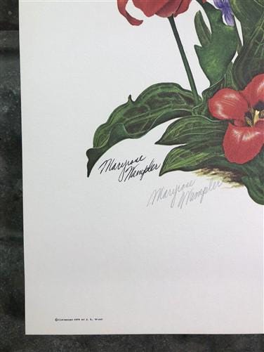 Art & Collectibles > Prints > Lithographs - Maryrose Wampler, Spring Bulbs, Signed Print, 28x22 Wall Art, Plate 26 by The...
