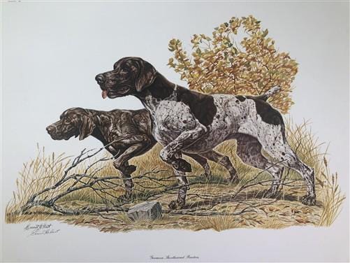 Ernest Hart, German Pointers, Signed Dog Print, 28x22, Wade Collection, Plate 3