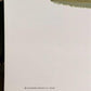Art & Collectibles > Prints > Lithographs - Richard Sloan, Lesser Scaup, Signed Print, 28x22, Wade Collection, Plate 49 by...
