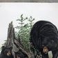 Art & Collectibles > Prints > Lithographs - Richard Timm, Black Bear, Signed Print, 28x22 Wade Collection, Plate 24 by The...