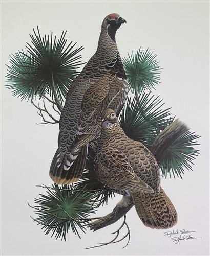 Art & Collectibles > Prints > Lithographs - Richard Sloan, Spruce Grouse, Signed Print, 28x22, Wade Collection, Plate 39 b...