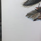Art & Collectibles > Prints > Lithographs - Richard Timm, Porcupine, Signed Print, 28x22 Wade Collection, Plate 35 by The...