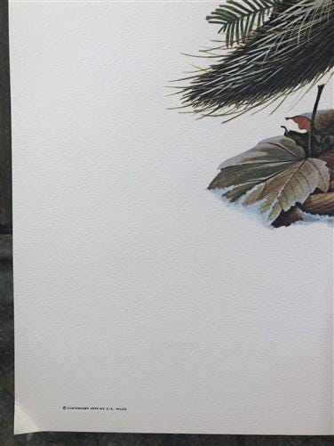 Art & Collectibles > Prints > Lithographs - Richard Timm, Porcupine, Signed Print, 28x22 Wade Collection, Plate 35 by The...