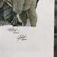 Art & Collectibles > Prints > Lithographs - Richard Timm, Mountain Goat, Signed Print, 28x22 Wade Collection, Plate 26 by...