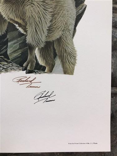 Art & Collectibles > Prints > Lithographs - Richard Timm, Mountain Goat, Signed Print, 28x22 Wade Collection, Plate 26 by...