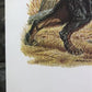 Art & Collectibles > Prints > Lithographs - Ernest Hart, Irish Setter, Signed Dog Print, 28x22, Wade Collection, Plate 4 b...