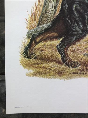 Art & Collectibles > Prints > Lithographs - Ernest Hart, Irish Setter, Signed Dog Print, 28x22, Wade Collection, Plate 4 b...