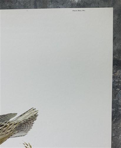 Art & Collectibles > Prints > Lithographs - Richard Sloan, Meadowlark, Signed Print, 28x22, Wade Collection, Plate 24 by T...