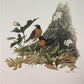 Art & Collectibles > Prints > Lithographs - Richard Sloan, Robin, Signed Print, 28x22, Wade Collection, Plate 9 by The Old...