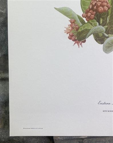 Art & Collectibles > Prints > Lithographs - Richard Sloan, Meadowlark, Signed Print, 28x22, Wade Collection, Plate 24 by T...
