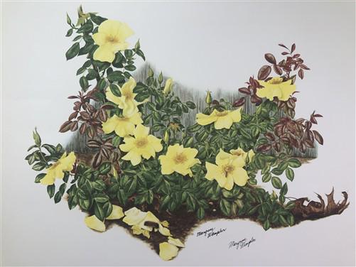 Art & Collectibles > Prints > Lithographs - Maryrose Wampler, Single Yellow Rose, Signed Print, 28x22, Wall Art, Plate 7 b...