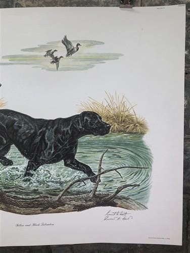 Art & Collectibles > Prints > Lithographs - Ernest Hart, Labrador, Signed Dog Print, 28x22, Wade Collection, Plate 5 by Th...