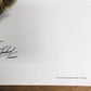 Art & Collectibles > Prints > Lithographs - Richard Timm, Eastern Cottontail, Signed Print, 28x22 Wade Collection, Plate 9...