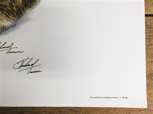 Art & Collectibles > Prints > Lithographs - Richard Timm, Eastern Cottontail, Signed Print, 28x22 Wade Collection, Plate 9...