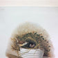 Richard Sloan, Caroline Wren, Signed Print, 28x22, Wade Collection, Plate 36