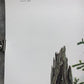 Art & Collectibles > Prints > Lithographs - Richard Timm, Black Bear, Signed Print, 28x22 Wade Collection, Plate 24 by The...