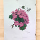 Art & Collectibles > Prints > Lithographs - Richard Sloan, Hummingbird, Signed Print, 28x22, Wade Collection, Plate 45 by...