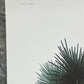 Art & Collectibles > Prints > Lithographs - Richard Sloan, Spruce Grouse, Signed Print, 28x22, Wade Collection, Plate 39 b...