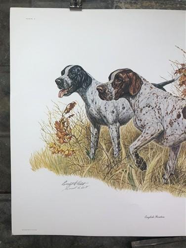 Art & Collectibles > Prints > Lithographs - Ernest Hart, English Pointer, Signed Dog Print, 28x22, Wade Collection, Plate...