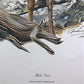 Art & Collectibles > Prints > Lithographs - Richard Timm, Mule Deer, Signed Print, 28x22 Wade Collection, Plate 32 by The...