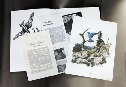 Richard Sloan, Mountain Bluebird, Signed Print, 11x14, Essay, Sketches, Plate 10