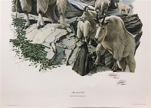 Art & Collectibles > Prints > Lithographs - Richard Timm, Mountain Goat, Signed Print, 28x22 Wade Collection, Plate 26 by...