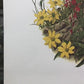 Art & Collectibles > Prints > Lithographs - Maryrose Wampler, Cardinal Flower Sunflower Signed Print 28x22 Wall Art Plate...