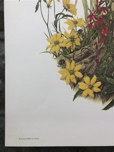 Art & Collectibles > Prints > Lithographs - Maryrose Wampler, Cardinal Flower Sunflower Signed Print 28x22 Wall Art Plate...