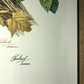 Art & Collectibles > Prints > Lithographs - Richard Timm, Striped Skunk, Signed Print, 28x22 Wade Collection, Plate 4 by T...