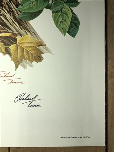 Art & Collectibles > Prints > Lithographs - Richard Timm, Striped Skunk, Signed Print, 28x22 Wade Collection, Plate 4 by T...
