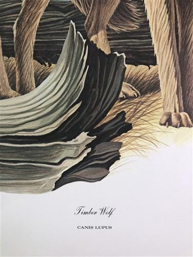 Art & Collectibles > Prints > Lithographs - Richard Timm, Timber Wolf, Signed Print, 28x22 Wade Collection, Plate 34 by Th...
