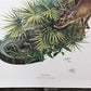 Art & Collectibles > Prints > Lithographs - Richard Timm, Florida Key Deer, Signed Print, 28x22 Wade Collection, Plate 15...