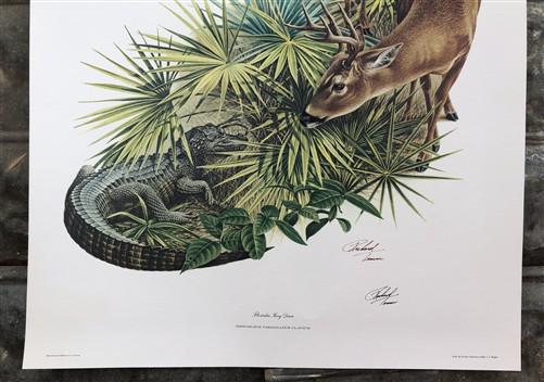 Art & Collectibles > Prints > Lithographs - Richard Timm, Florida Key Deer, Signed Print, 28x22 Wade Collection, Plate 15...