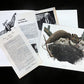 Art & Collectibles > Prints > Lithographs - Richard Sloan, Great Horned Owl, Signed Print, 11x14, Essay, Sketches, Plate 7...