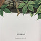 Art & Collectibles > Prints > Lithographs - Richard Timm, Woodchuck, Signed Print, 28x22 Wade Collection, Plate 28 by The...