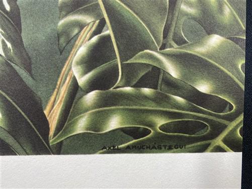 Art & Collectibles > Prints - Axel Amuchastegui, Ring Tailed Coati, 20.75x14 South American Art Print K by The Old Grainer...