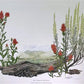 Maryrose Wampler, Paintbrush & Sagebrush, Signed Print, 28x22 Wall Art, Plate 25