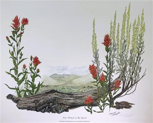 Maryrose Wampler, Paintbrush & Sagebrush, Signed Print, 28x22 Wall Art, Plate 25
