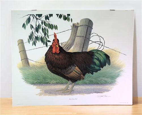 Art & Collectibles > Prints > Lithographs - Richard Sloan, Rhode Island Red, Signed Print, 28x22, Wade Collection, Plate 5...