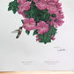 Art & Collectibles > Prints > Lithographs - Richard Sloan, Hummingbird, Signed Print, 28x22, Wade Collection, Plate 45 by...