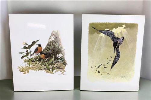 Art & Collectibles > Prints - 15 Miniature 4x5 Richard Sloan North American Bird Art Prints, Nature House A by The Old Gra...