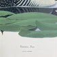 Art & Collectibles > Prints > Lithographs - Richard Sloan, Common Loon, Signed Print, 28x22, Wade Collection, Plate 29 by...