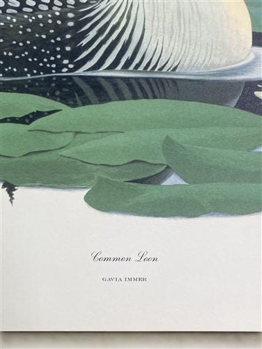 Art & Collectibles > Prints > Lithographs - Richard Sloan, Common Loon, Signed Print, 28x22, Wade Collection, Plate 29 by...
