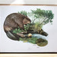 Art & Collectibles > Prints > Lithographs - Richard Timm, Beaver, Signed Print, 28x22 Wade Collection, Plate 11 by The Old...