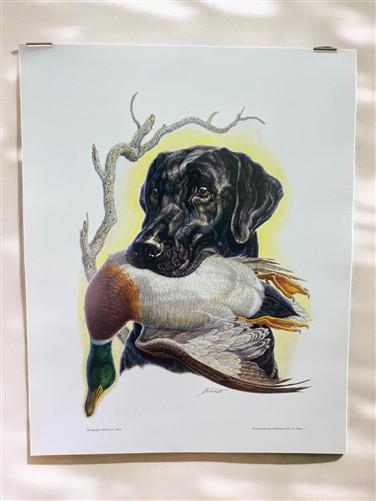 Art & Collectibles > Prints > Lithographs - Ernest Hart, Black Lab with Duck, Signed Dog Print, 16x20, Wade Collection, B...